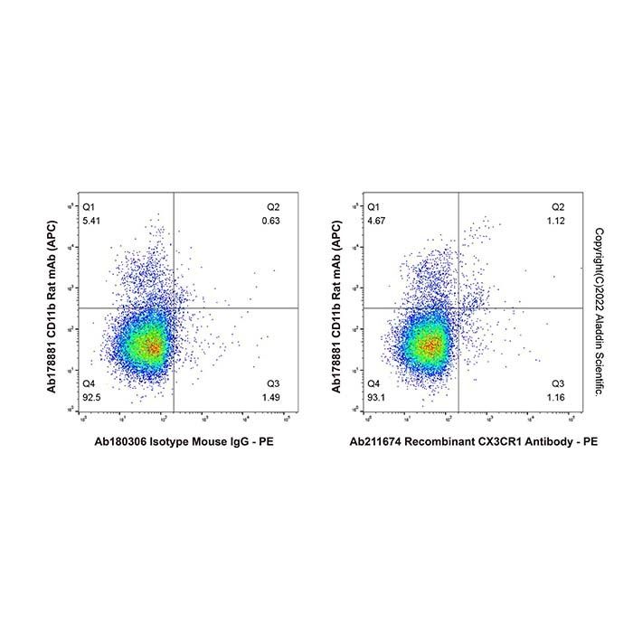 Recombinant CX3CR1 Antibody -    by Aladdin Scientific
