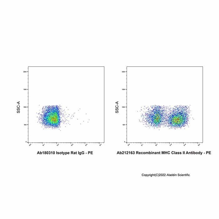 Recombinant MHC Class II Antibody - by Aladdin Scientific