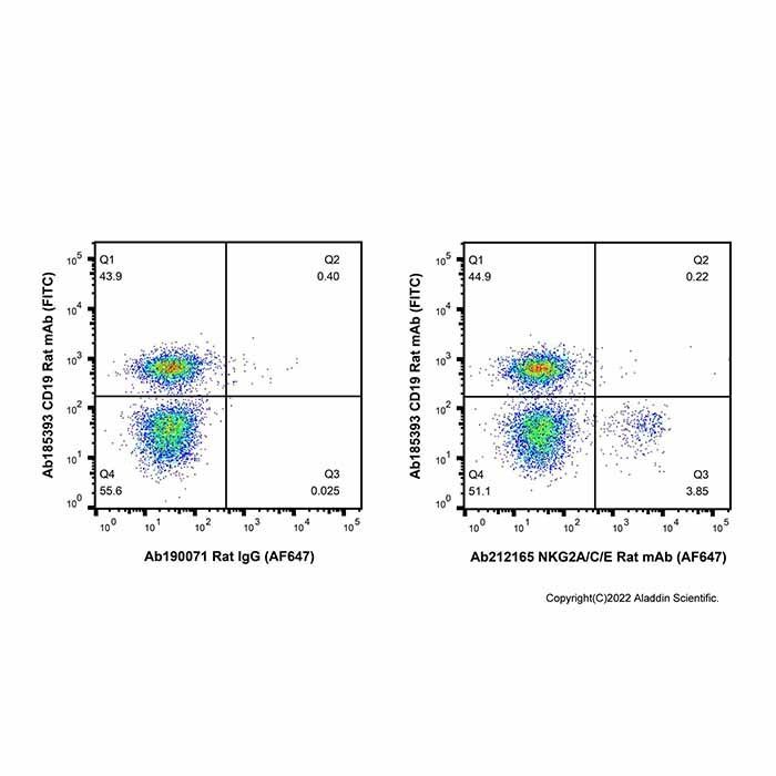 NKG2A/C/E Rat mAb (AF647) - by Aladdin Scientific
