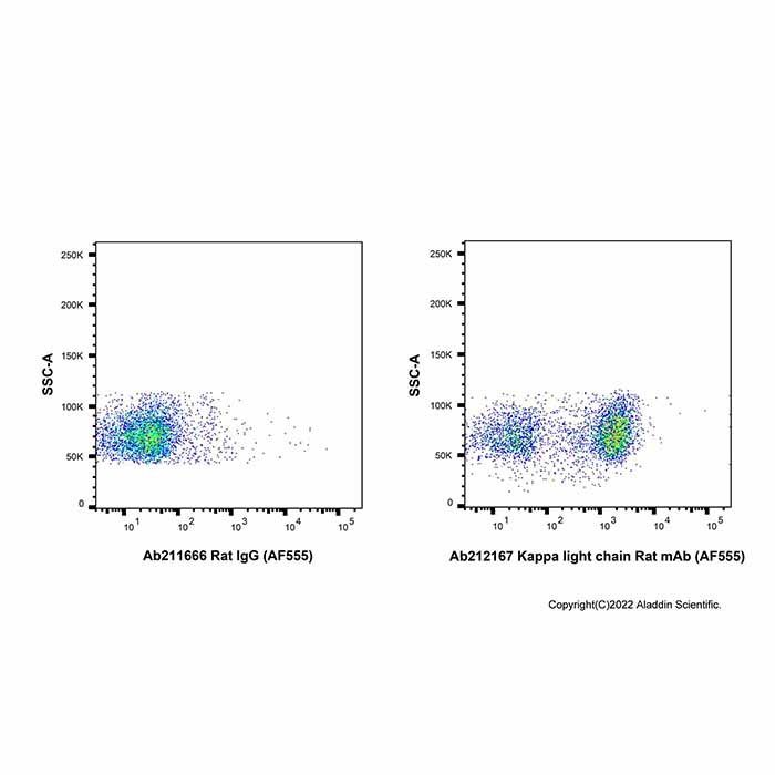 Kappa light chain Rat mAb (AF555) - by Aladdin Scientific