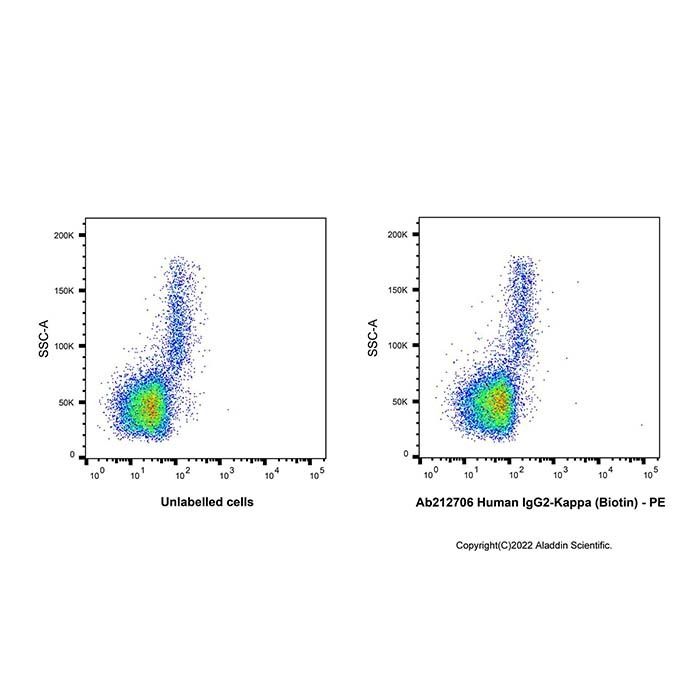 Human IgG2-Kappa (Biotin) -    by Aladdin Scientific
