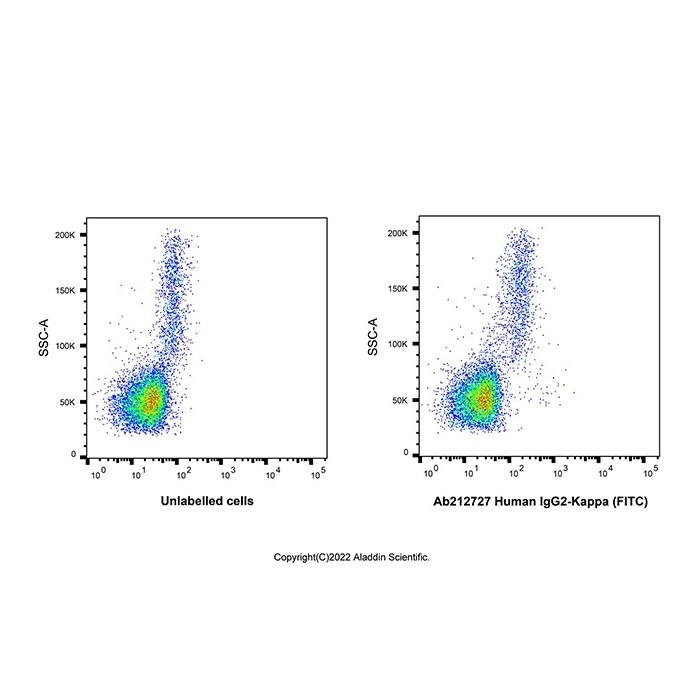 Human IgG2-Kappa (FITC) -    by Aladdin Scientific