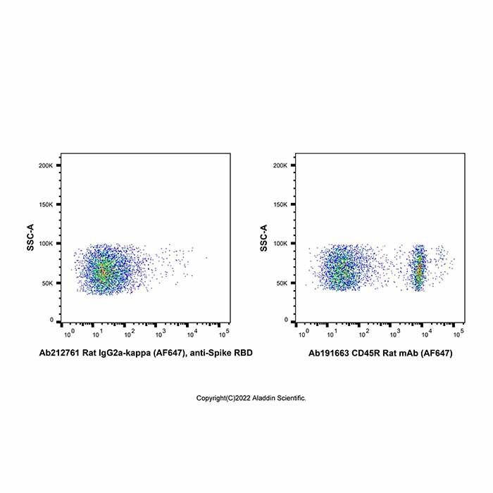 Rat IgG2a-kappa (AF647), anti-Spike RBD - by Aladdin Scientific