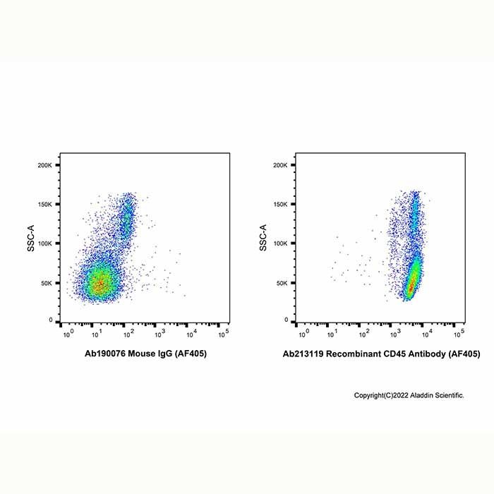 Recombinant CD45 Antibody (AF405) - by Aladdin Scientific