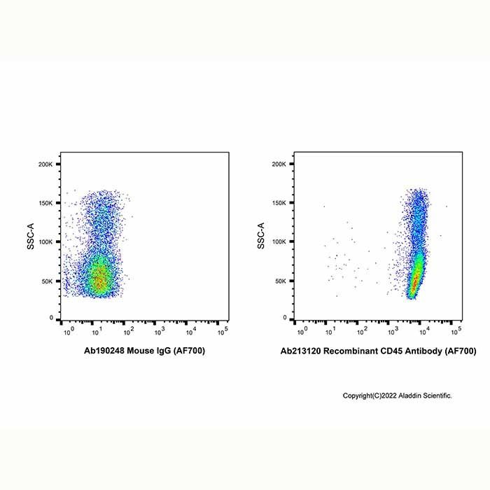 Recombinant CD45 Antibody (AF700) - by Aladdin Scientific