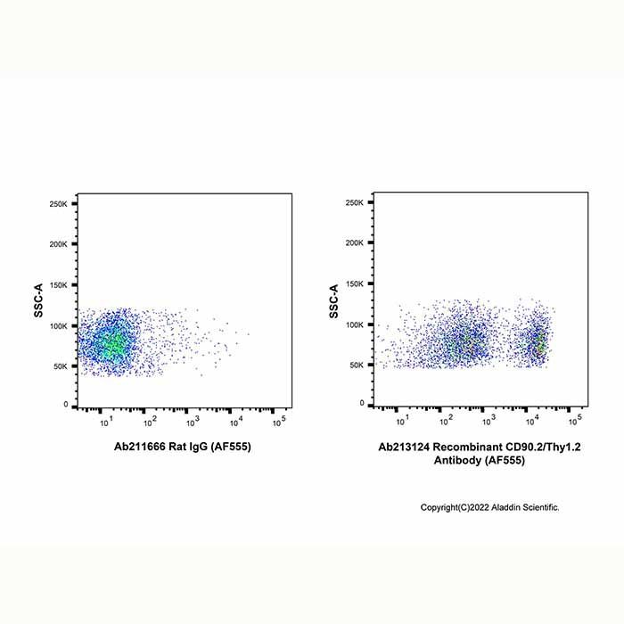 Recombinant CD90.2/Thy1.2 Antibody (AF555) - by Aladdin Scientific