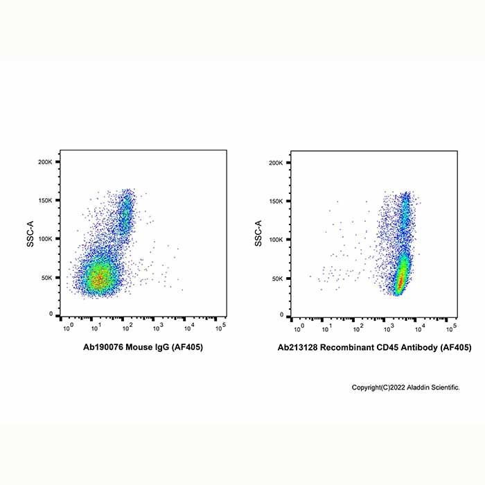 Recombinant CD45 Antibody (AF405) - by Aladdin Scientific
