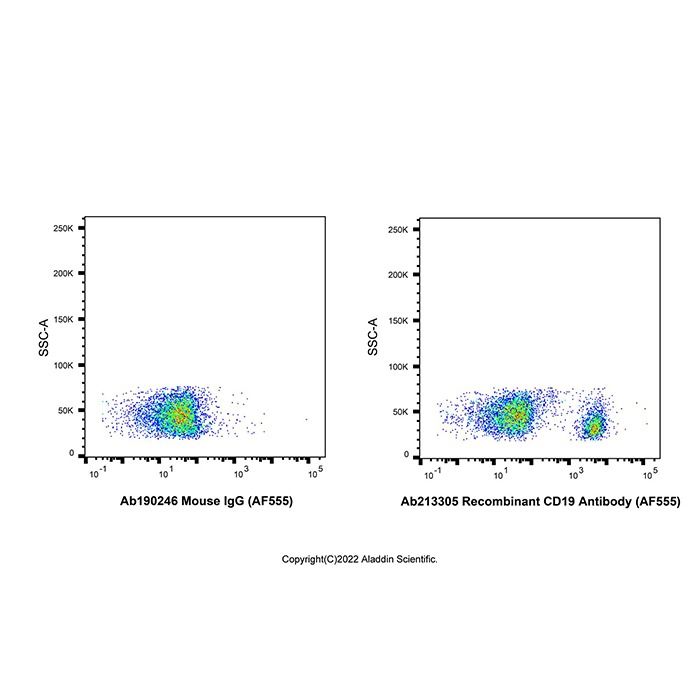 Recombinant CD19 Antibody (AF555) - by Aladdin Scientific