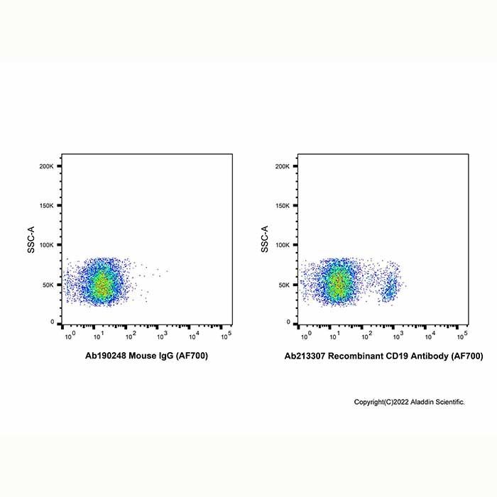 Recombinant CD19 Antibody (AF700) -    by Aladdin Scientific