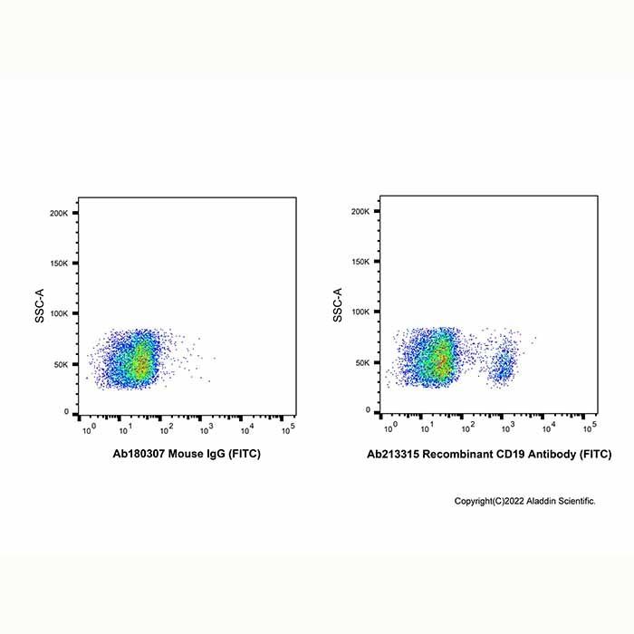 Recombinant CD19 Antibody (FITC) - by Aladdin Scientific
