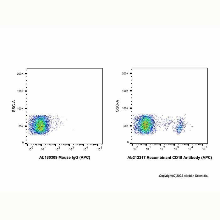 Recombinant CD19 Antibody (APC) - by Aladdin Scientific