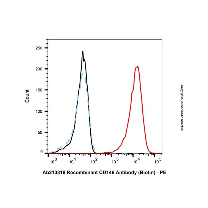 Recombinant CD146 Antibody (Biotin) -    by Aladdin Scientific