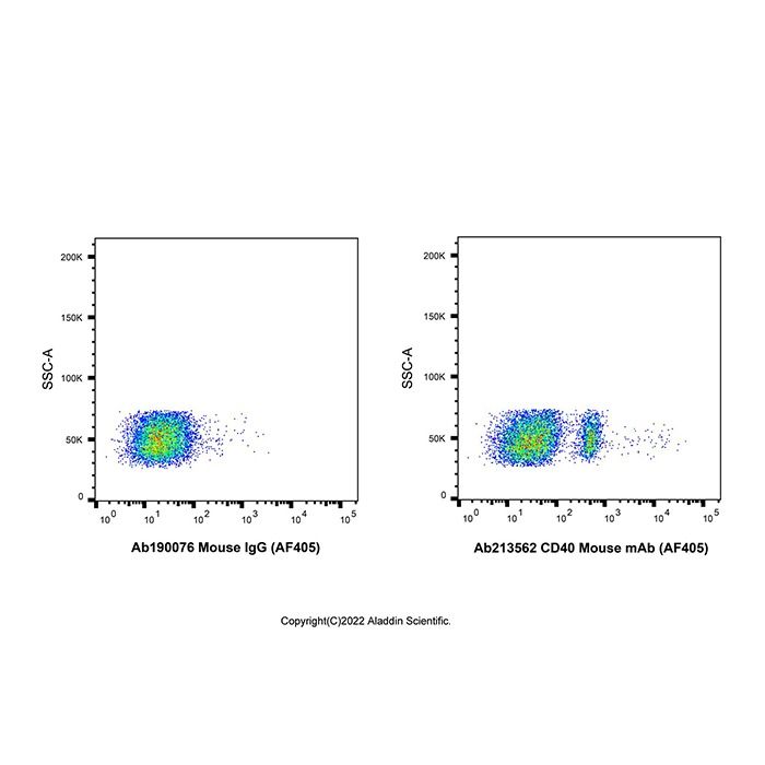 CD40 Mouse mAb (AF405) - by Aladdin Scientific