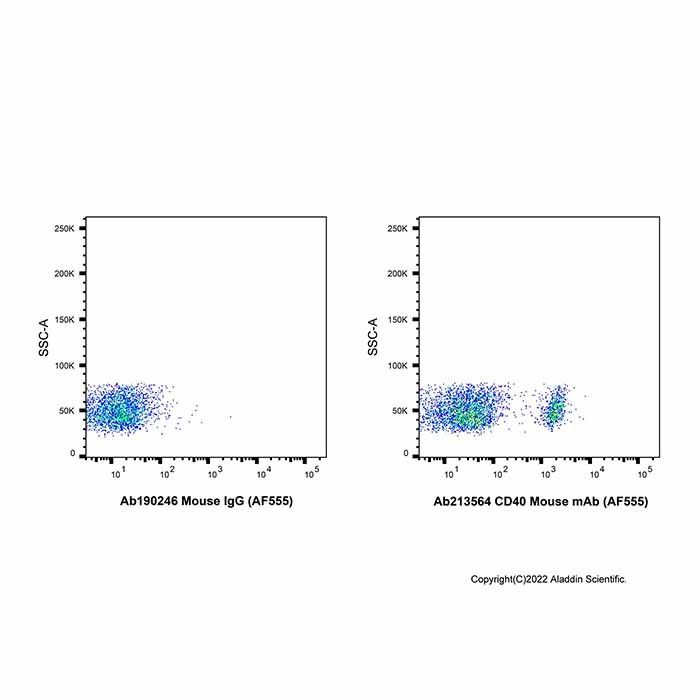 CD40 Mouse mAb (AF555) - by Aladdin Scientific