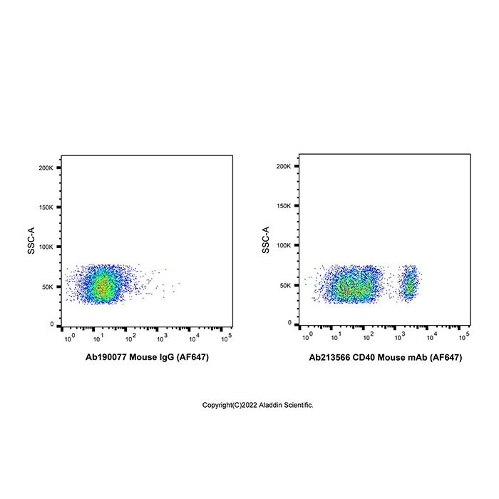 CD40 Mouse mAb (AF647) - by Aladdin Scientific