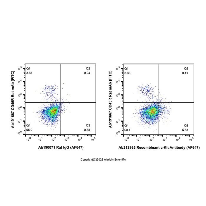 Recombinant c-Kit Antibody (AF647) - by Aladdin Scientific