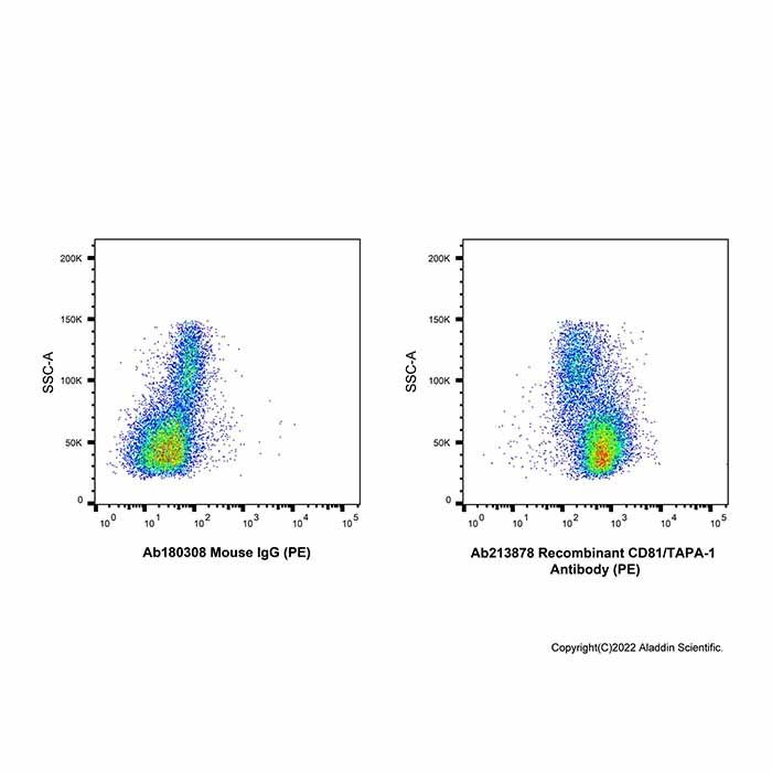 Recombinant CD81/TAPA-1 Antibody (PE) -    by Aladdin Scientific