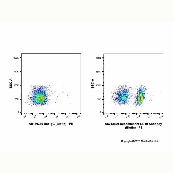 Recombinant CD19 Antibody (Biotin) -    by Aladdin Scientific