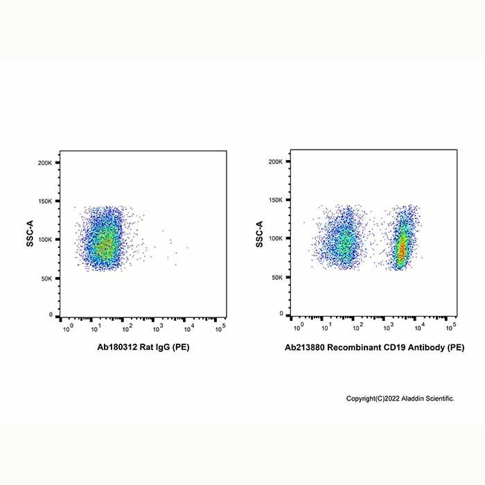 Recombinant CD19 Antibody (PE) -    by Aladdin Scientific