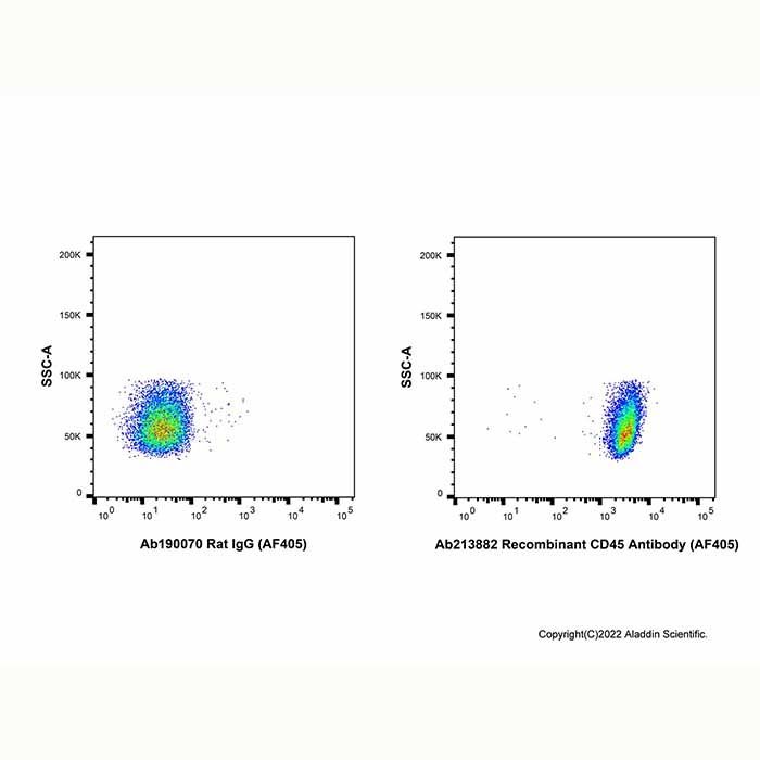 Recombinant CD45 Antibody (AF405) - by Aladdin Scientific