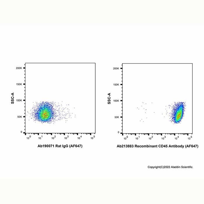 Recombinant CD45 Antibody (AF647) -    by Aladdin Scientific