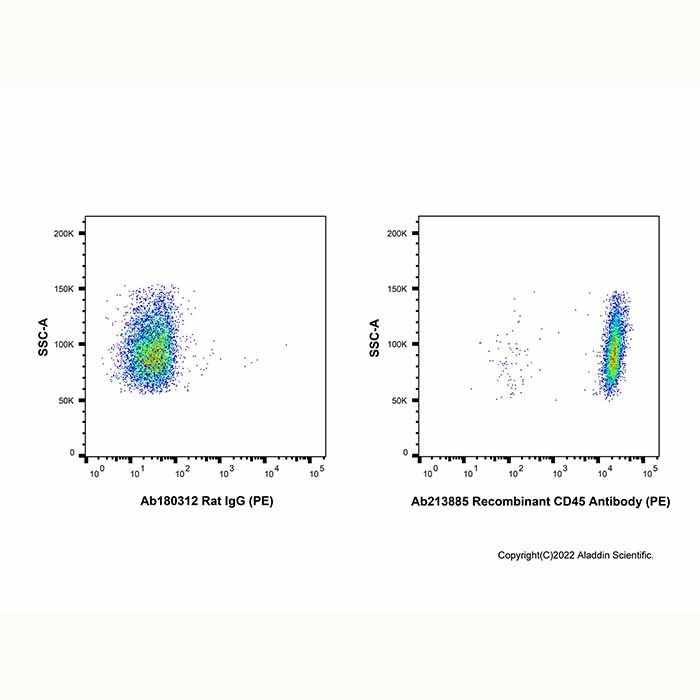 Recombinant CD45 Antibody (PE) - by Aladdin Scientific