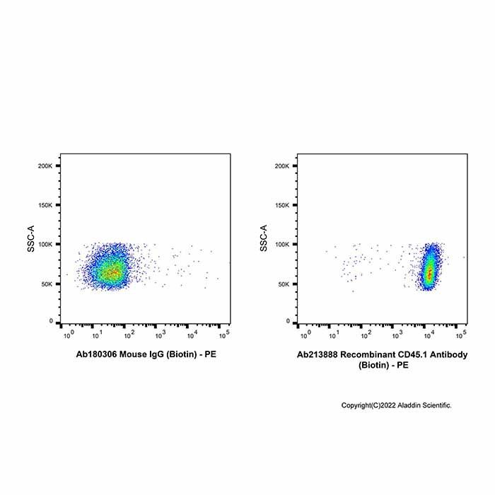 Recombinant CD45.1 Antibody (Biotin) -    by Aladdin Scientific