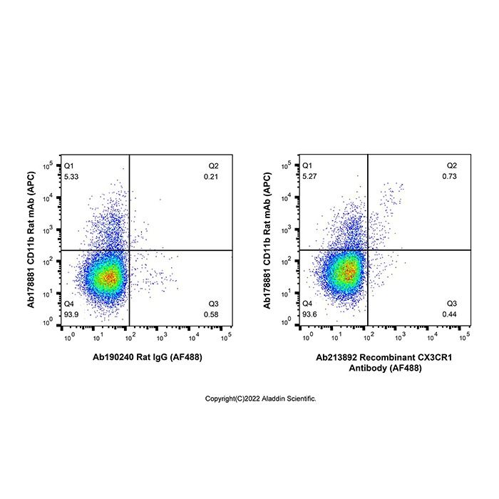 Recombinant CX3CR1 Antibody (AF488) - by Aladdin Scientific