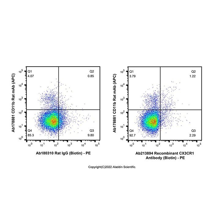 Recombinant CX3CR1 Antibody (Biotin) - by Aladdin Scientific