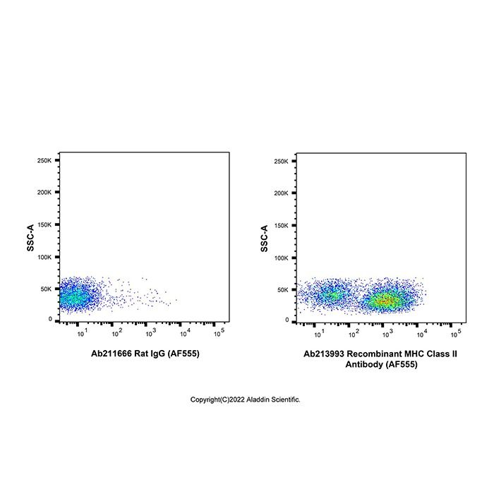 Recombinant MHC Class II Antibody (AF555) -    by Aladdin Scientific