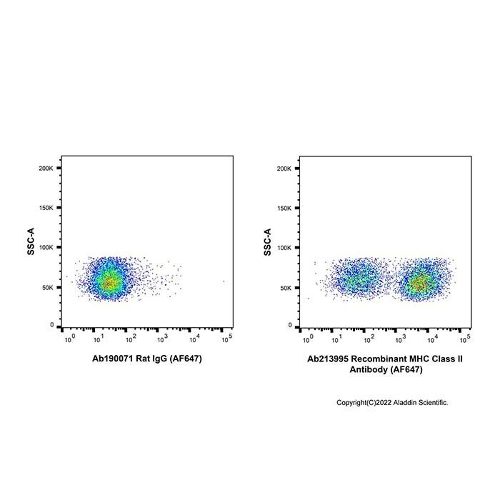 Recombinant MHC Class II Antibody (AF647) - by Aladdin Scientific