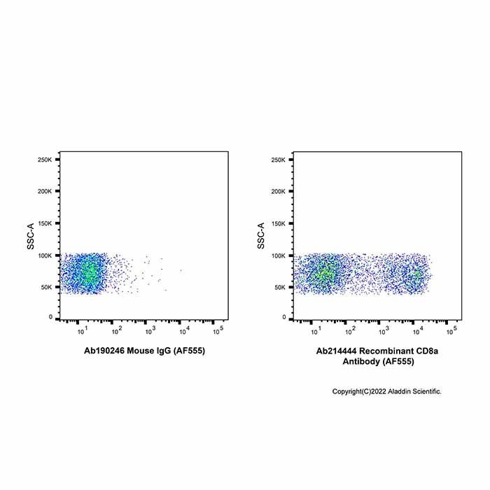 Recombinant CD8a Antibody (AF555) - by Aladdin Scientific