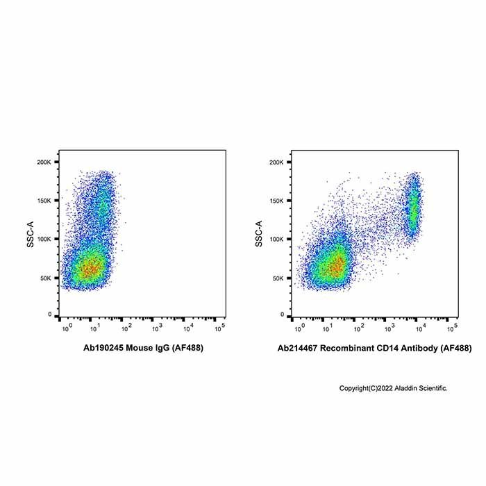 Recombinant CD14 Antibody (AF488) -    by Aladdin Scientific