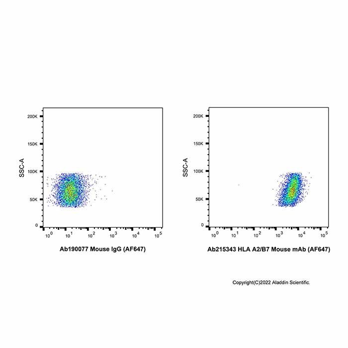 HLA A2/B7 Mouse mAb (AF647) - by Aladdin Scientific