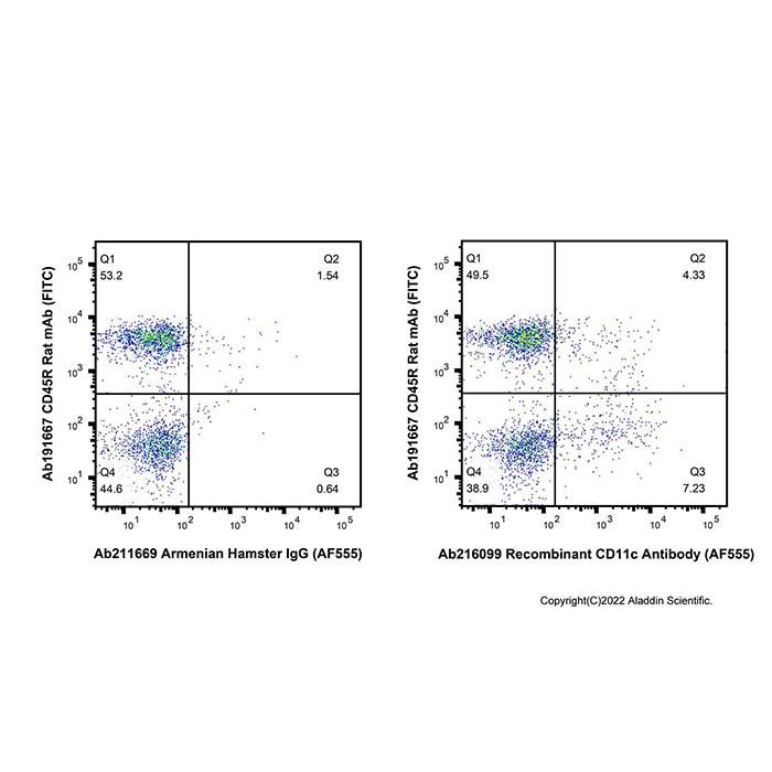 Recombinant CD11c Antibody (AF555) -    by Aladdin Scientific