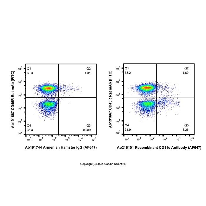 Recombinant CD11c Antibody (AF647) -    by Aladdin Scientific