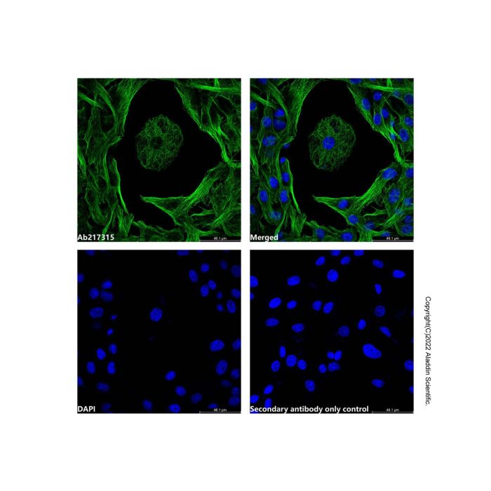 Goat Anti-Mouse IgG H&L (Oregon Green 488) -    by Aladdin Scientific