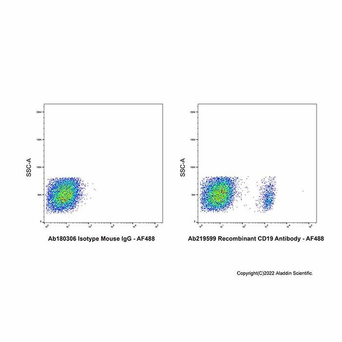 Recombinant CD19 Antibody - by Aladdin Scientific