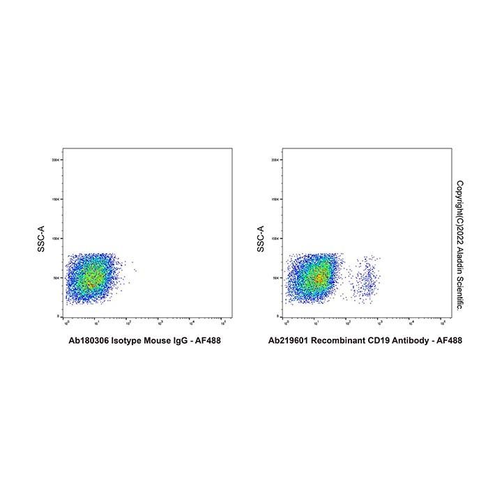 Recombinant CD19 Antibody - by Aladdin Scientific