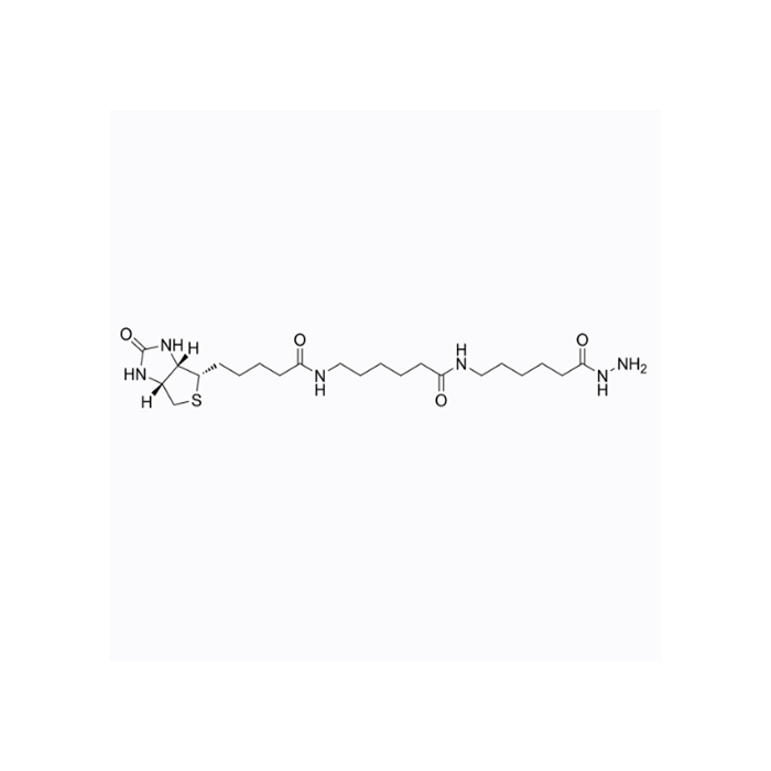 Biotin-XX hydrazide - Moligand™, ≥95% CAS No(211237-33-1) by Aladdin Scientific