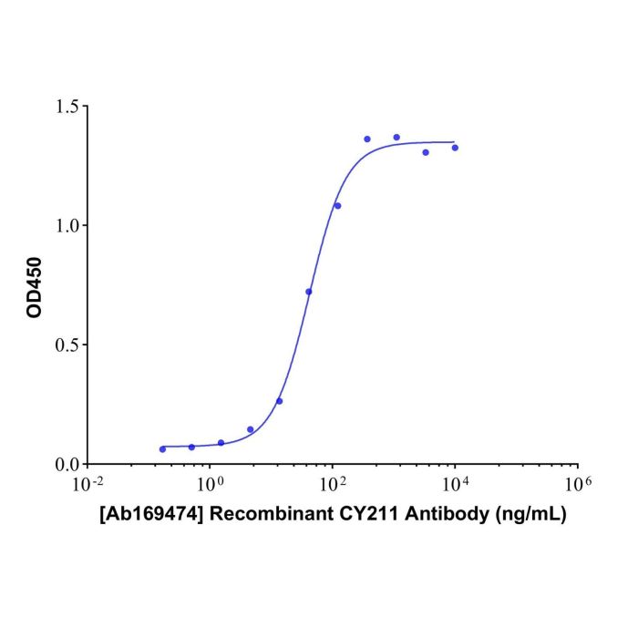 Recombinant CY211 Antibody - Primary antibody   by Aladdin Scientific