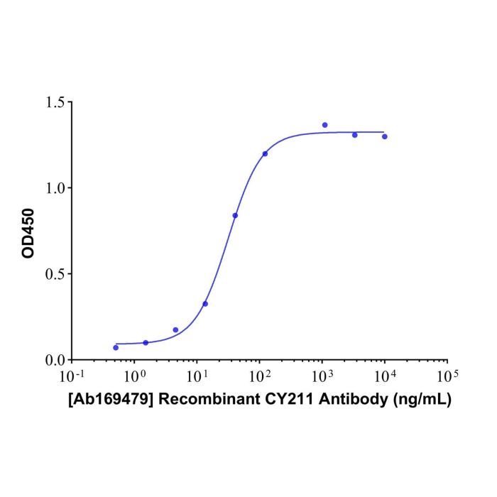 Recombinant CY211 Antibody - Primary antibody   by Aladdin Scientific