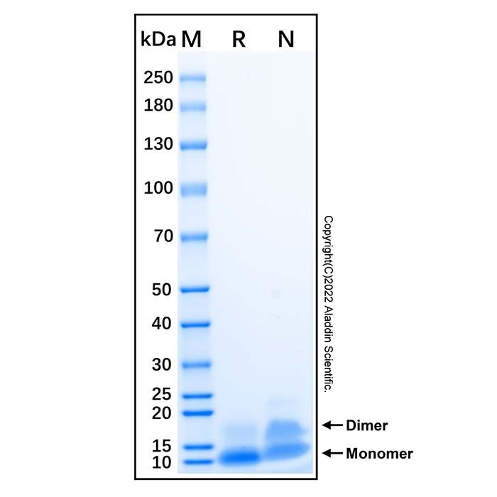 Recombinant Human TFF3 Protein -    by Aladdin Scientific