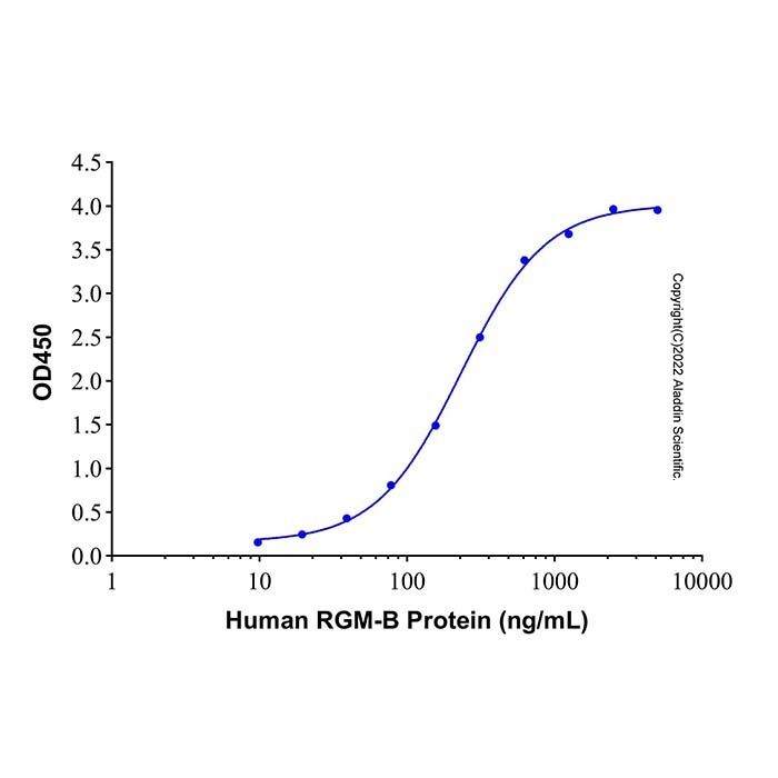 Recombinant Human RGM-B Protein -    by Aladdin Scientific