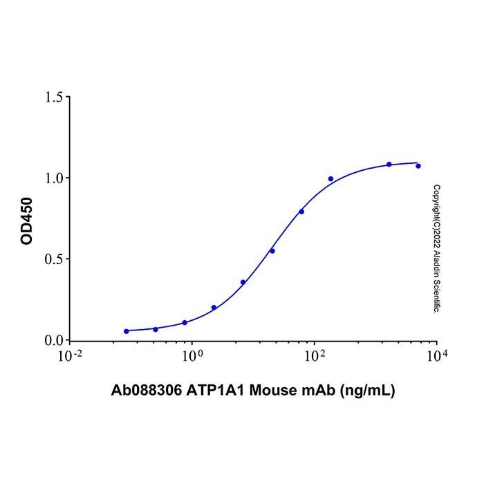 Recombinant Human ATP1A1 Protein -    by Aladdin Scientific