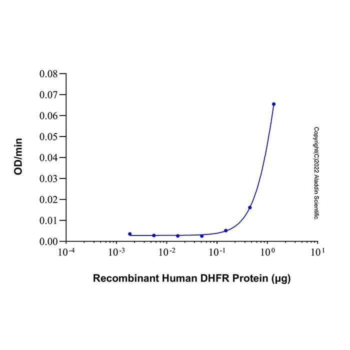 Recombinant Human DHFR Protein -    by Aladdin Scientific