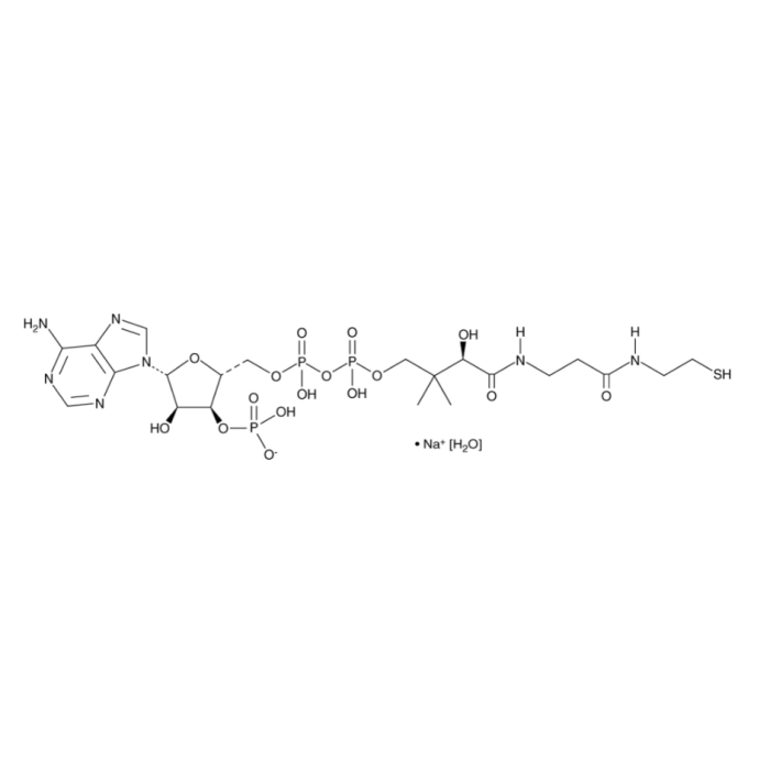 Coenzyme A (sodium salt hydrate ) - ≥95% CAS No(55672-92-9) by Aladdin Scientific