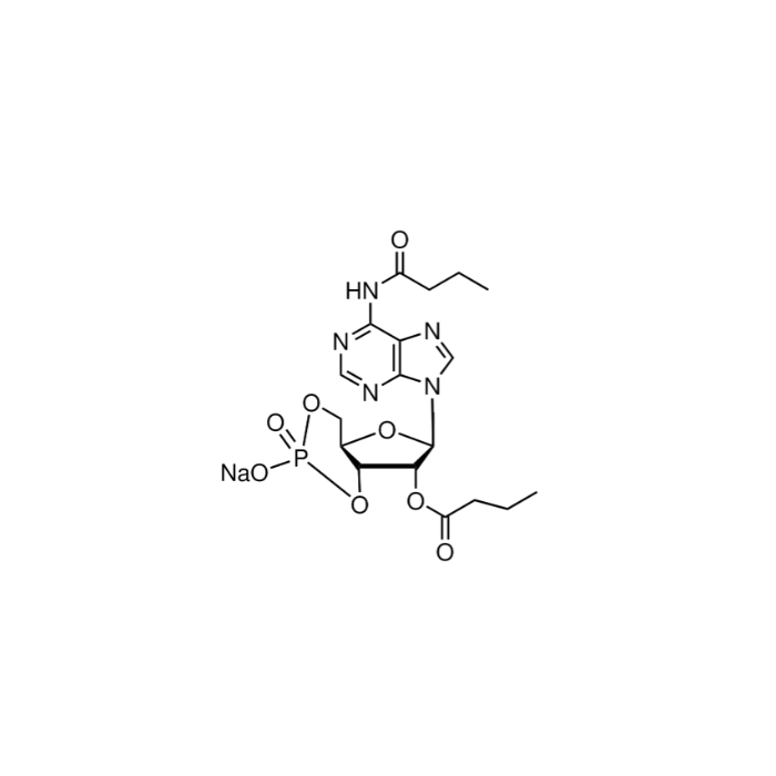 N⁶,2′-O-Dibutyryladenosine 3′,5′ -cyclic monophosphate sodium salt - ≥97%(HPLC) CAS No(16980-89-5) by Aladdin Scientific