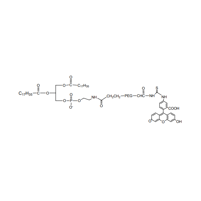 DSPE PEG Fluorescein, DSPE-PEG-FITC - MW 2000 Da  by Aladdin Scientific