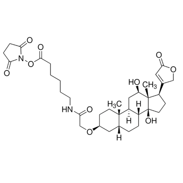 Digoxigenin NHS ester - ≥90% CAS No(129273-26-3) by Aladdin Scientific
